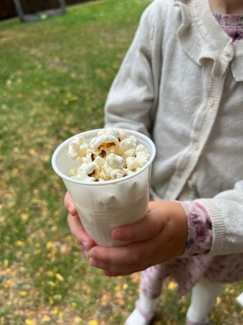 Udendørs børnefødselsdag med hoppeborg, slik og popcorn 3